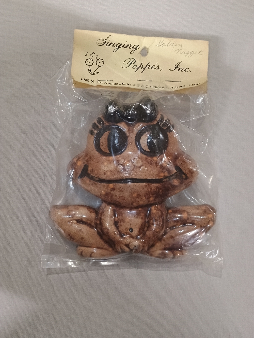 Singing Poppes Inc. Ceramic Frog Macrame Accent Hanging - Brown